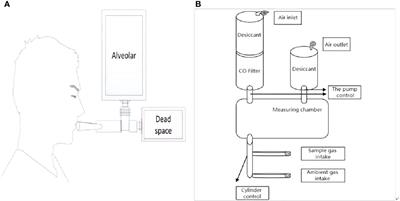 The use of carbon monoxide breath test to detect the effect of iron overload on erythrocyte lifespan in MDS